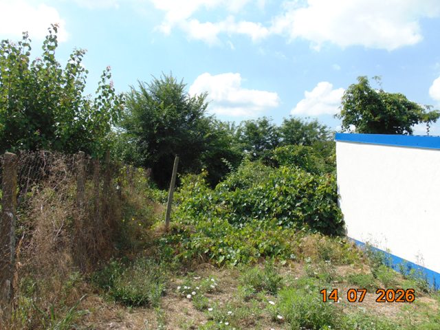Miniatură 3