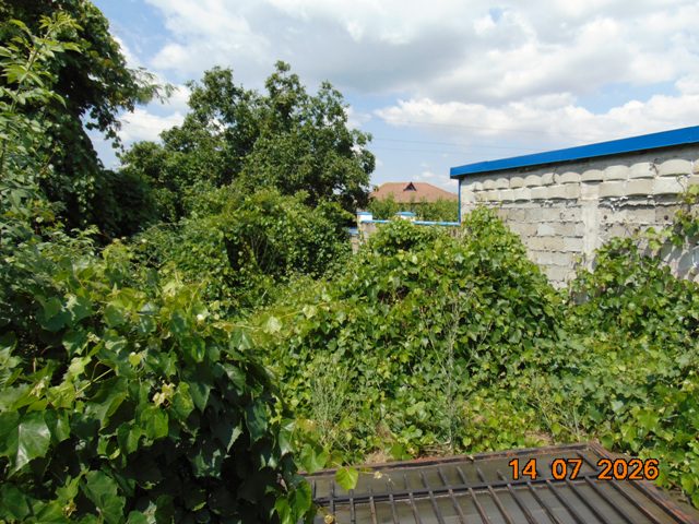Miniatură 8