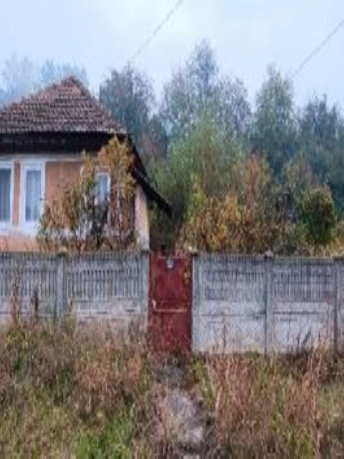Miniatură 2