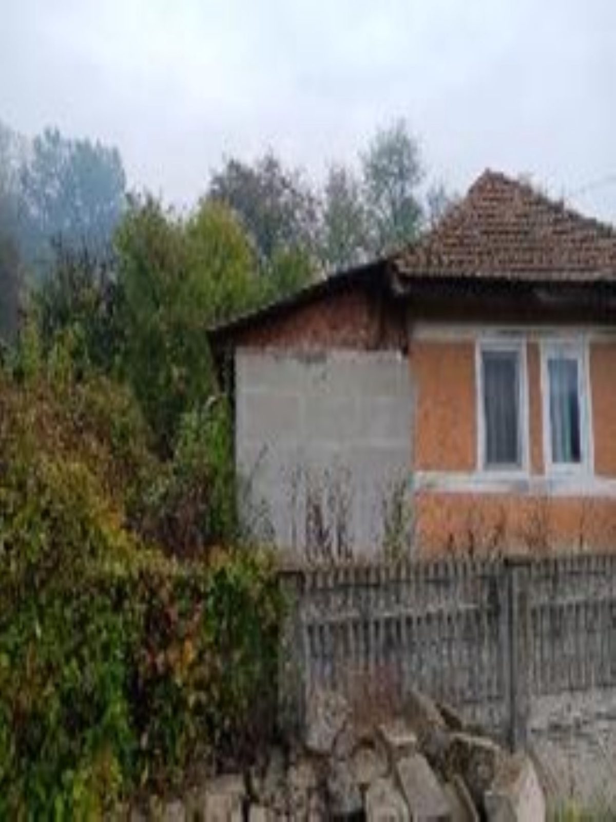 Miniatură 3