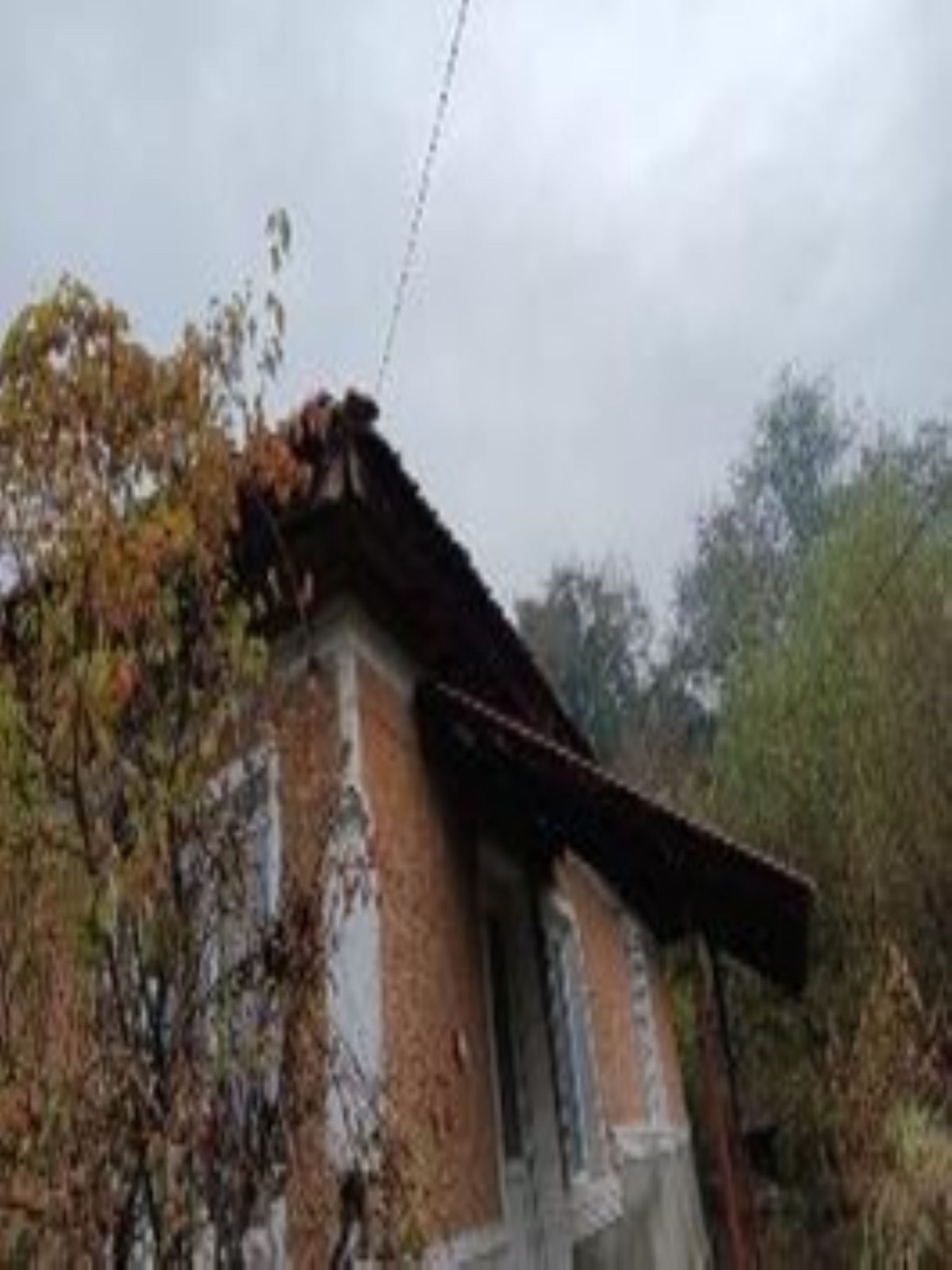 Miniatură 4