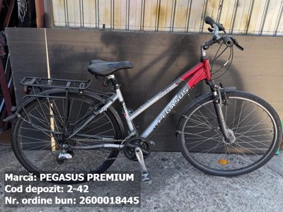Bicicleta- Pegasus Premium