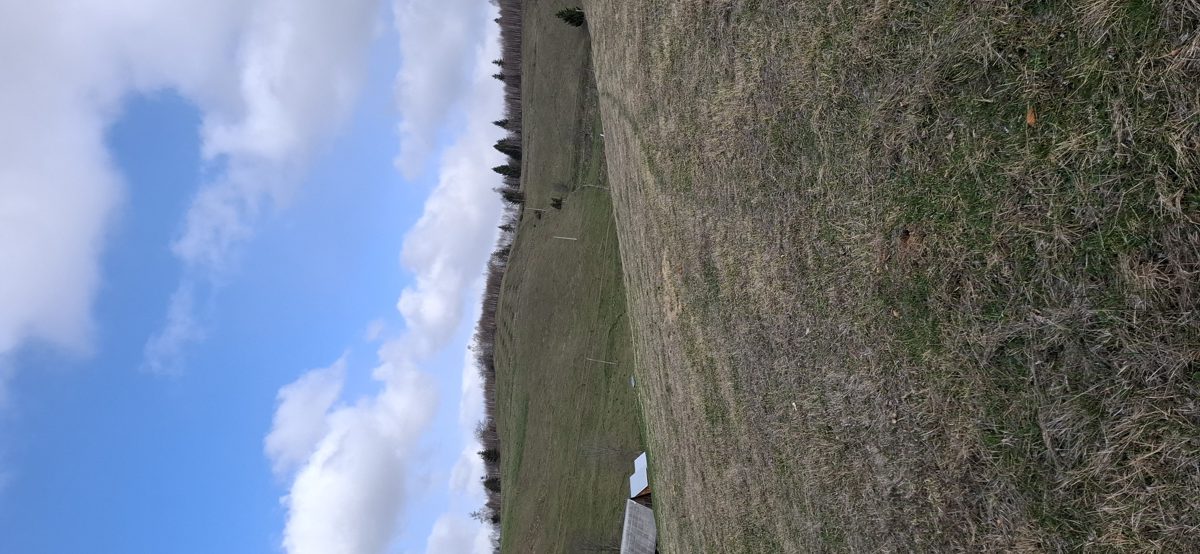 Cota teren loc. Motorasti, Campeni, jud. Alba 1