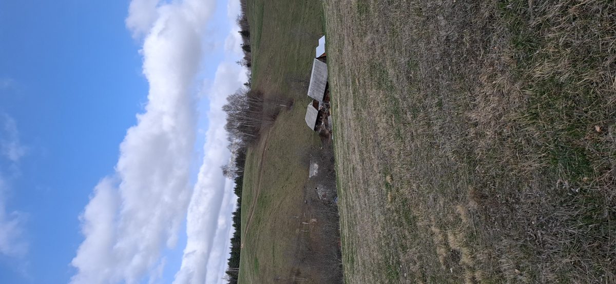 Miniatură 2