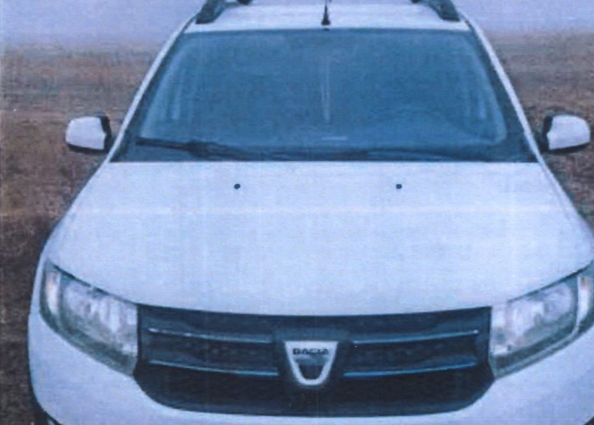 Miniatură 3