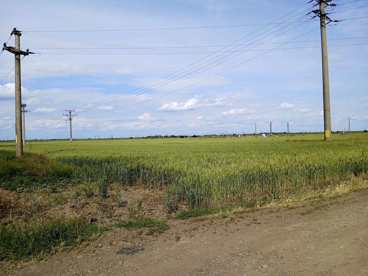 Miniatură 2