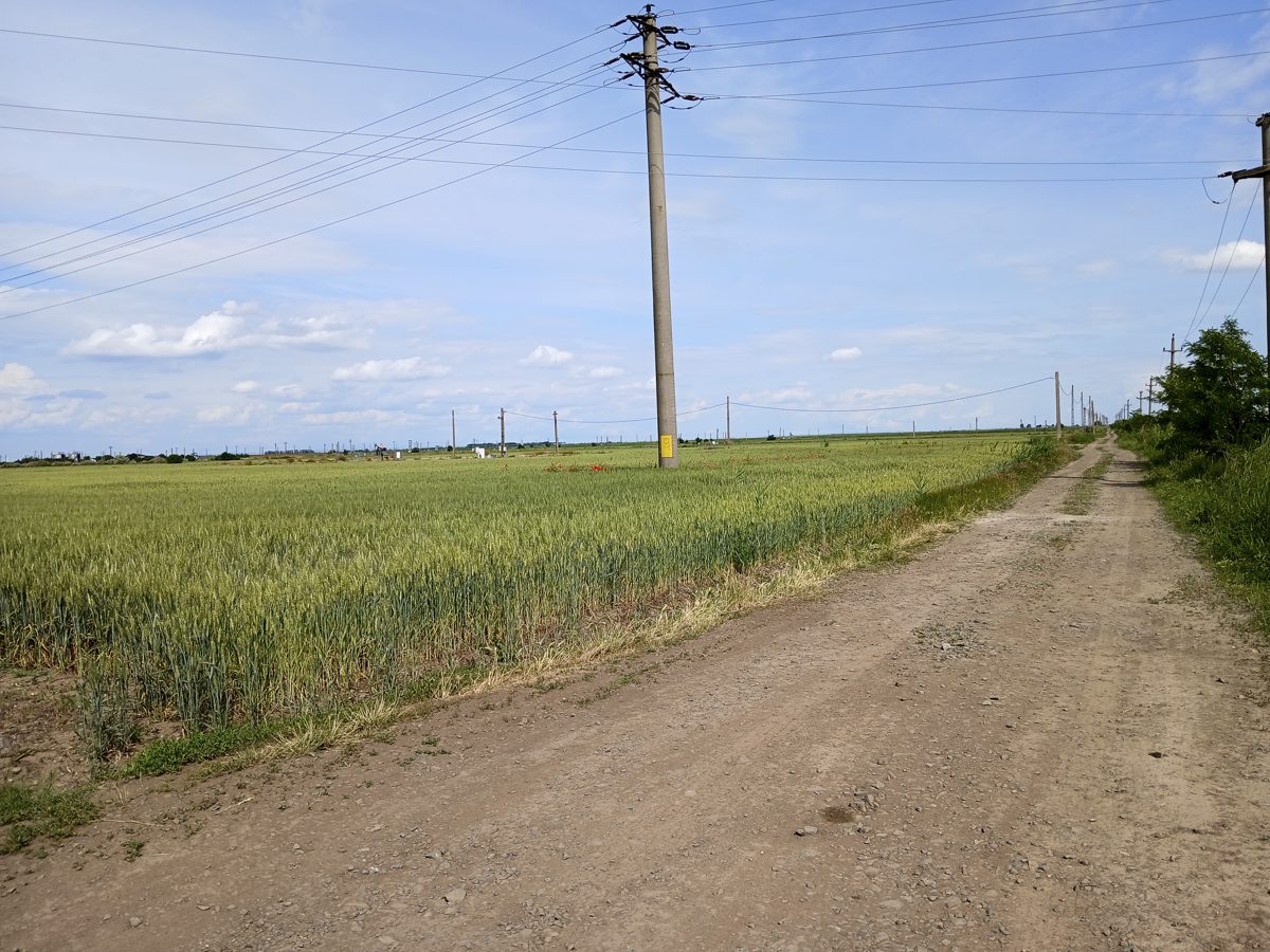 Miniatură 4