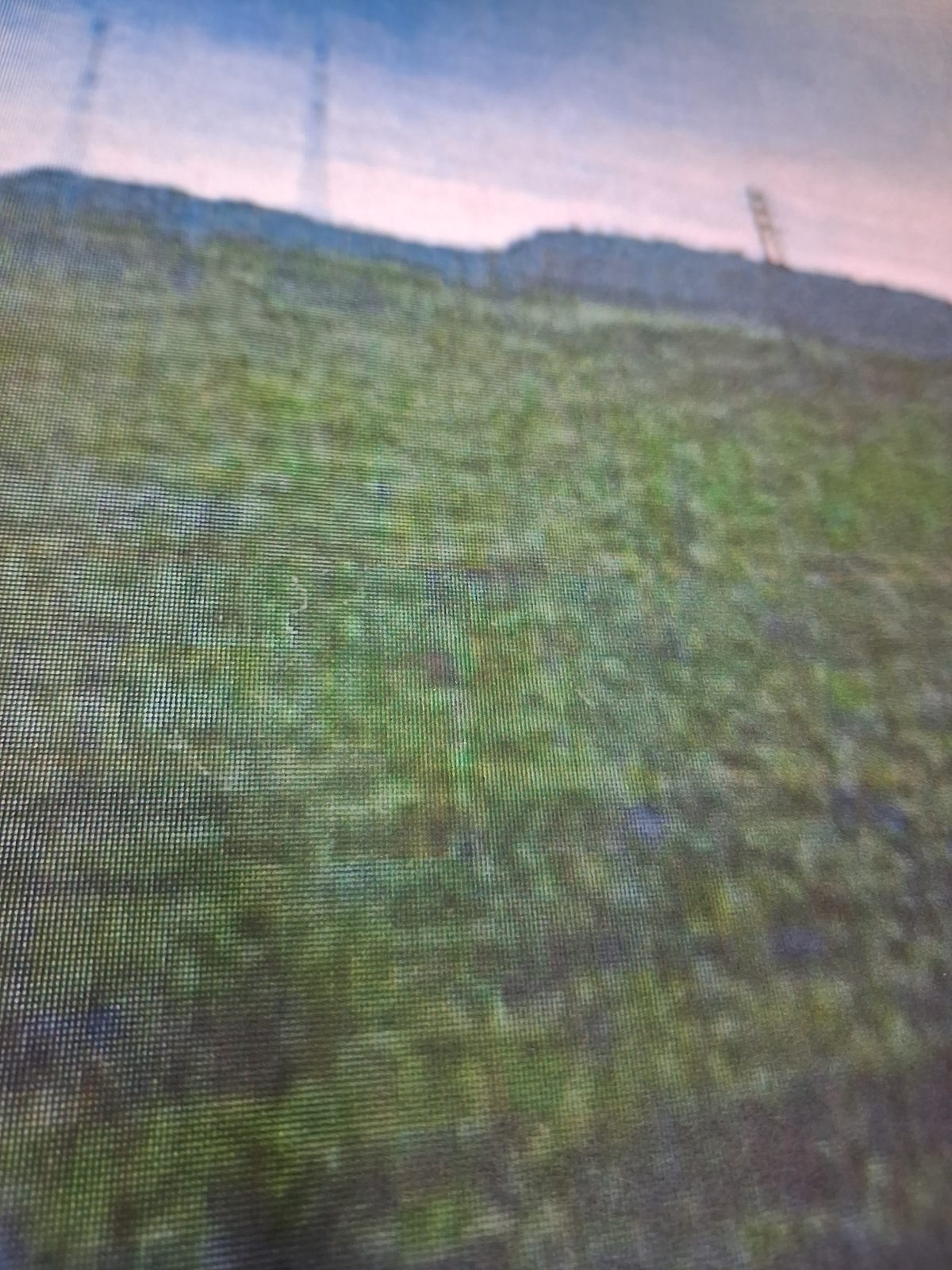 Miniatură 7