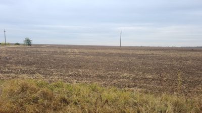 Teren agricol - EXTRAVILAN in suprafata de 600 MP