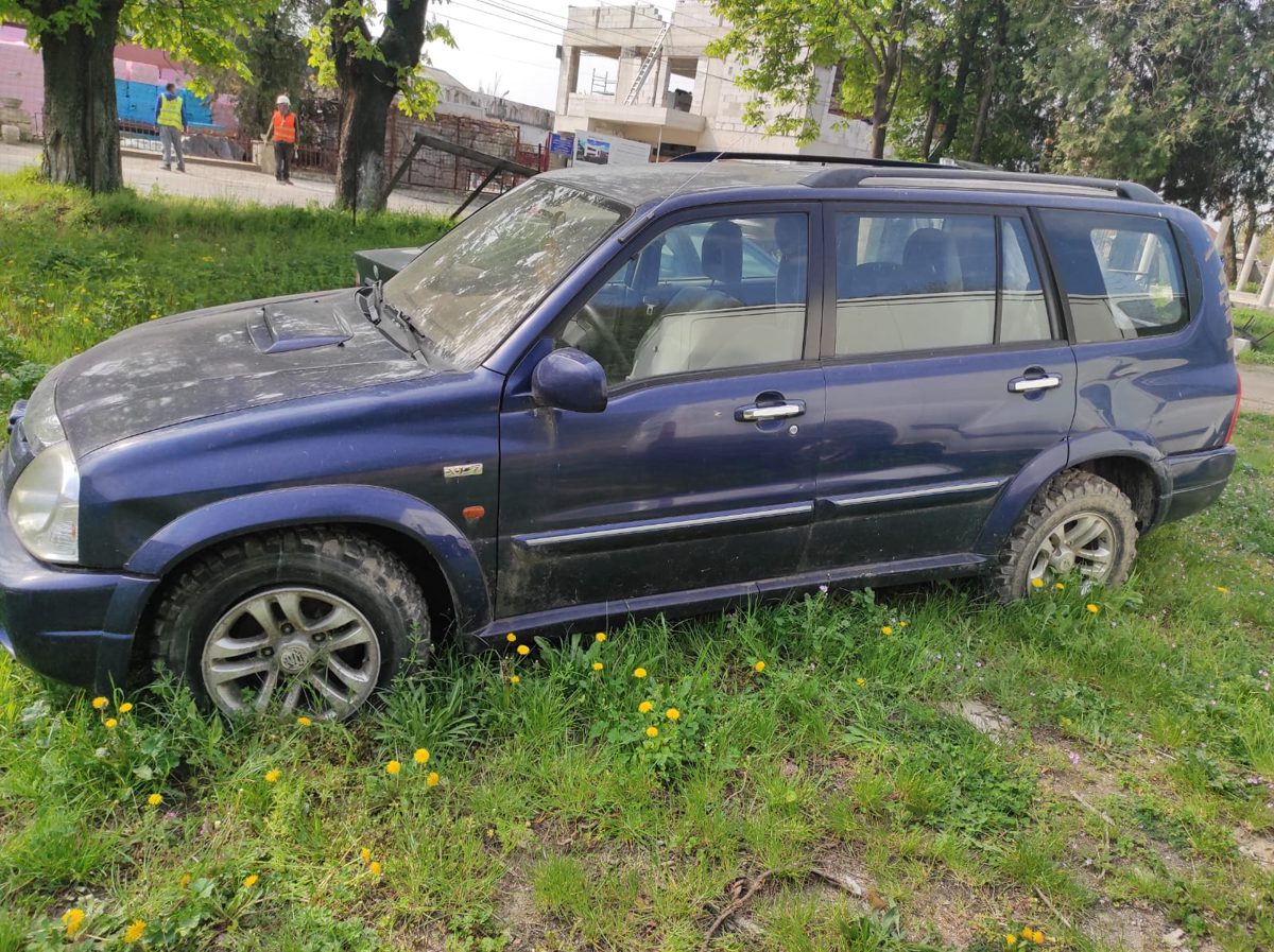 Miniatură 6
