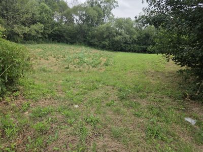 Teren agricol -