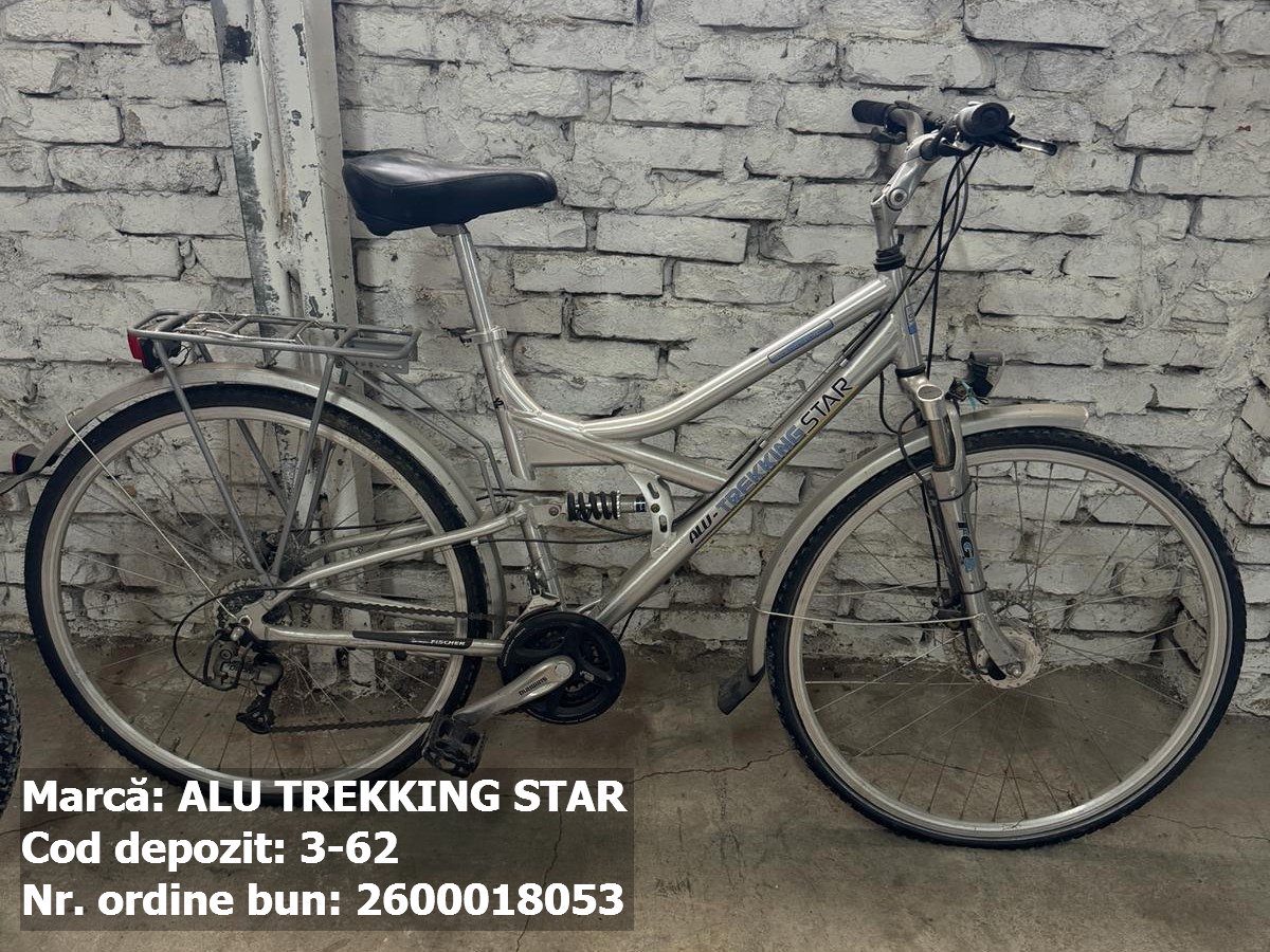 Bicicleta- Alu Trekking Star 1