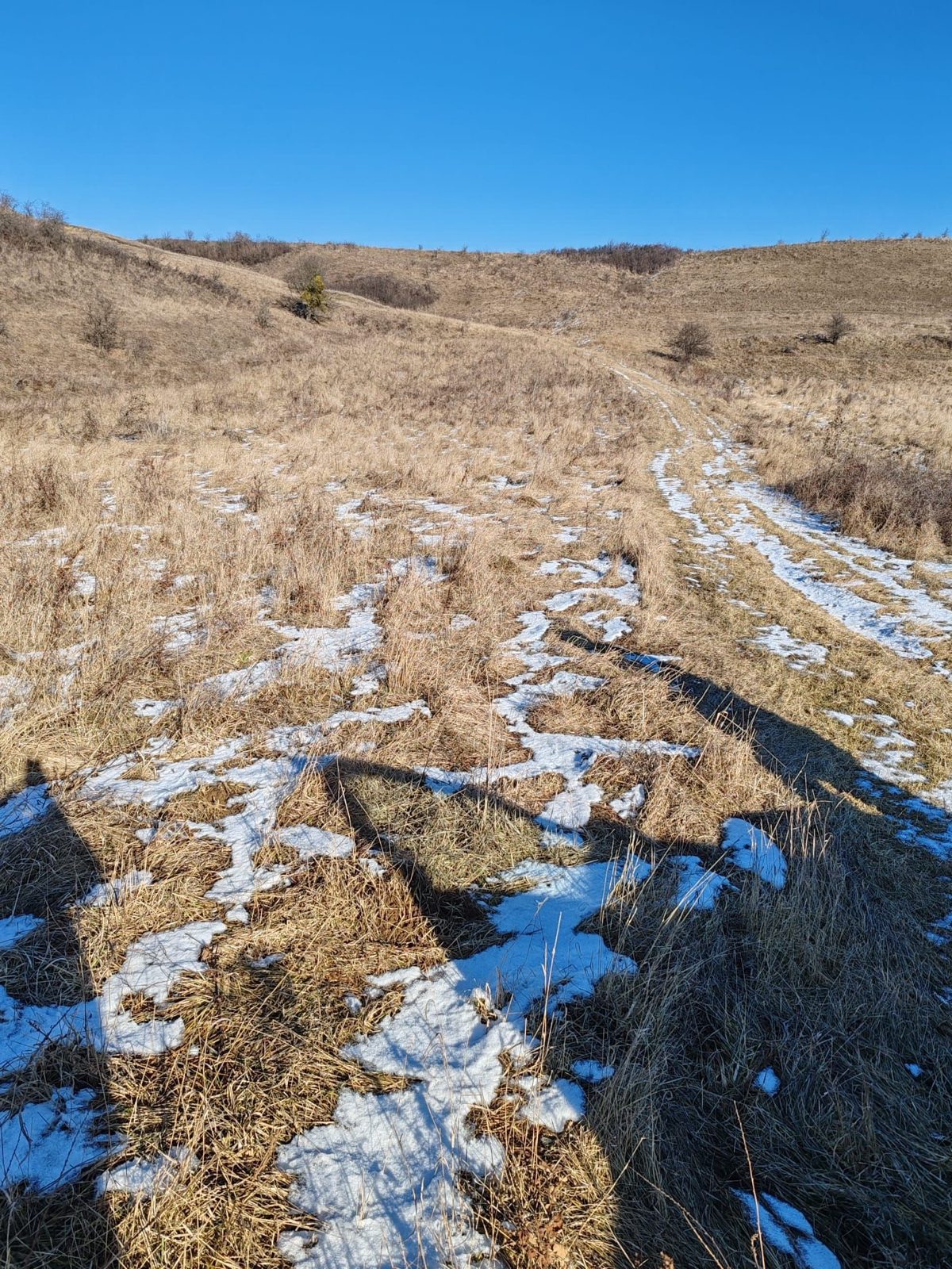 Teren extravilan in suprafata de 5800 MP, UAT Capusu Mare, Jud. Cluj 1