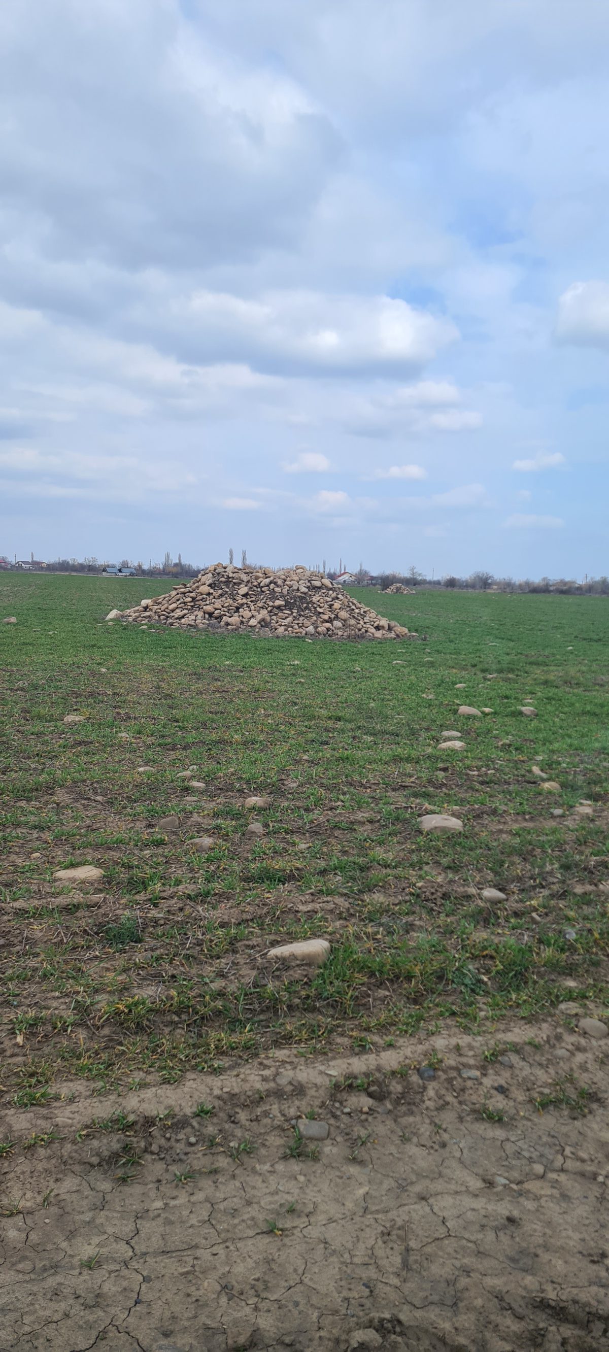 Teren agricol extravilan arabil - in suprafata de 1539 MP 1