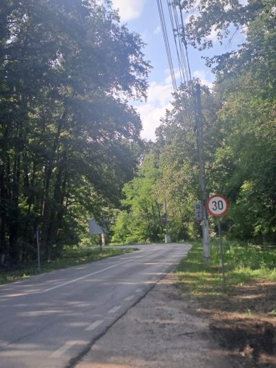 Teren extravilan - Padure