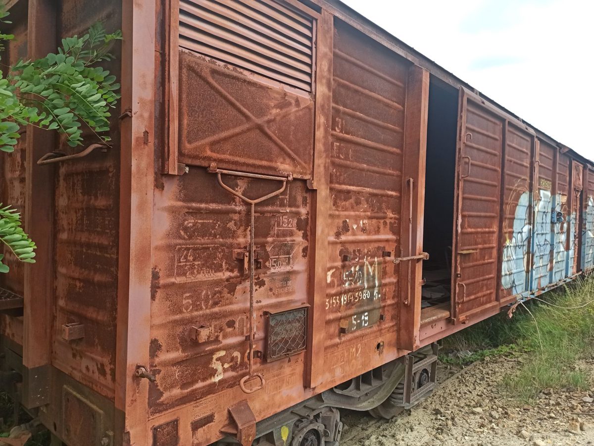 Miniatură 4