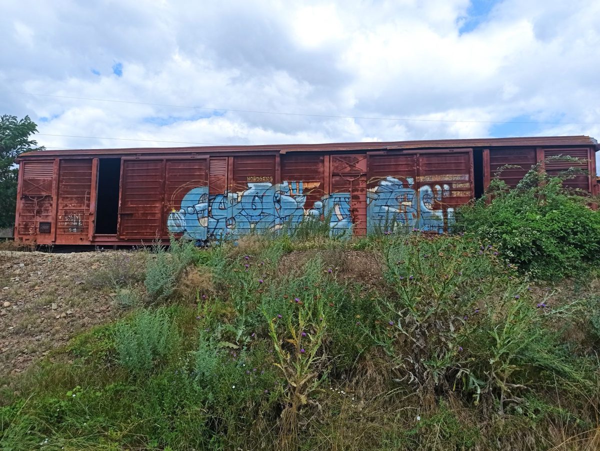 Miniatură 5