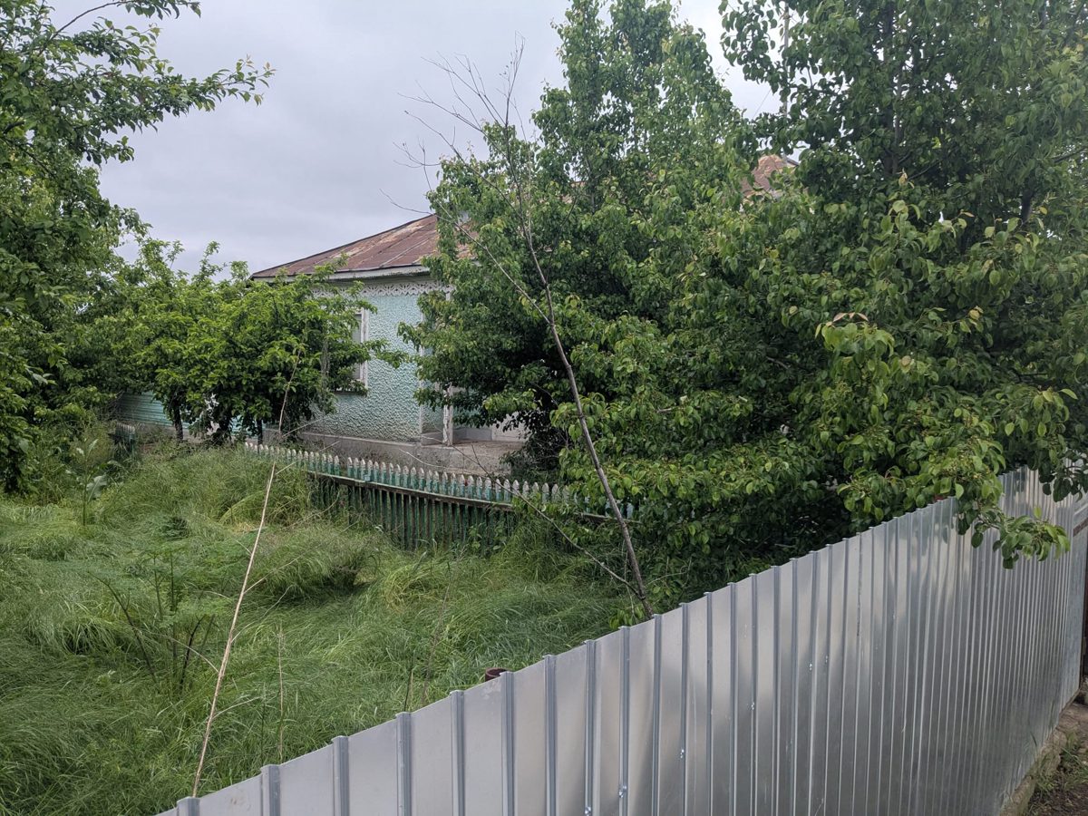 Miniatură 3