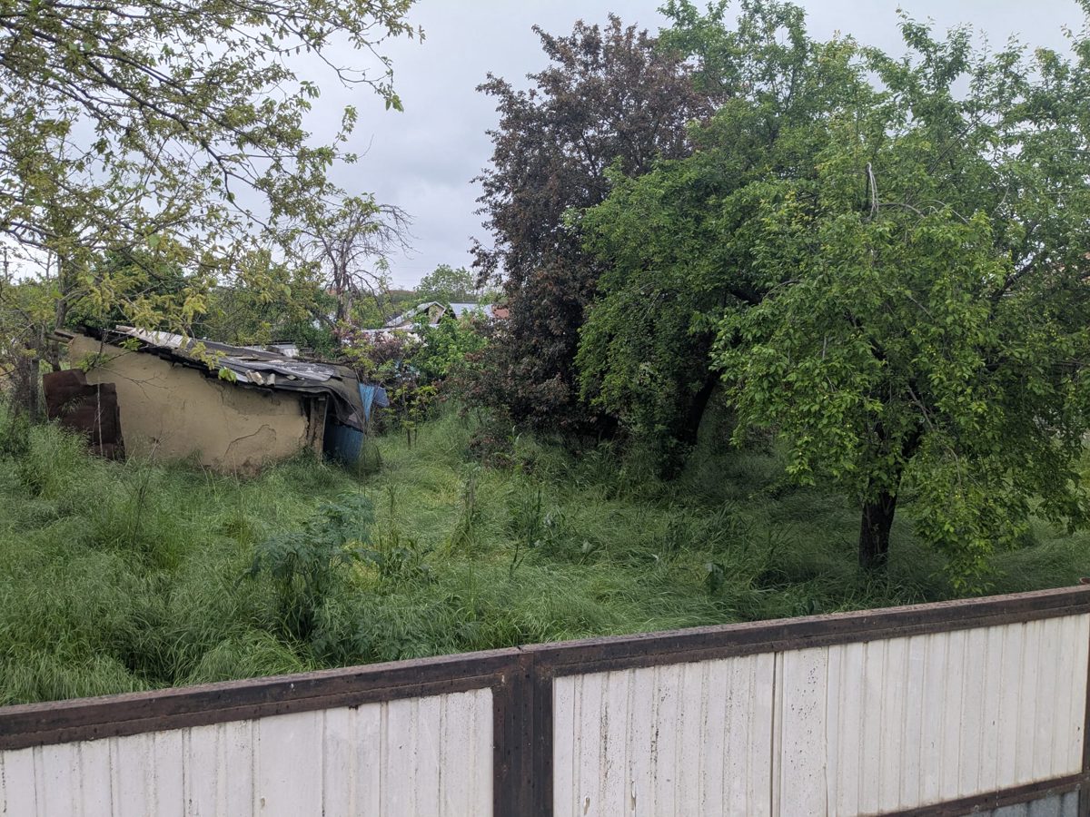 Miniatură 5
