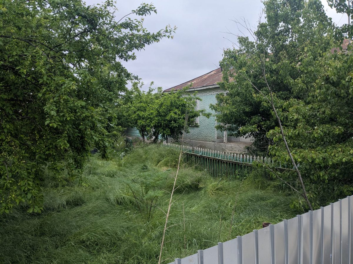 Miniatură 6