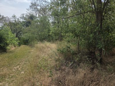 Teren extravilan agricol -