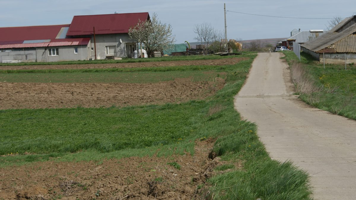 Miniatură 2