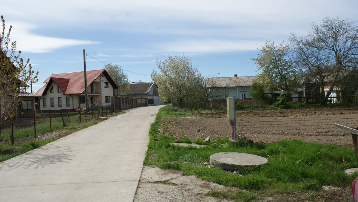Miniatură 7