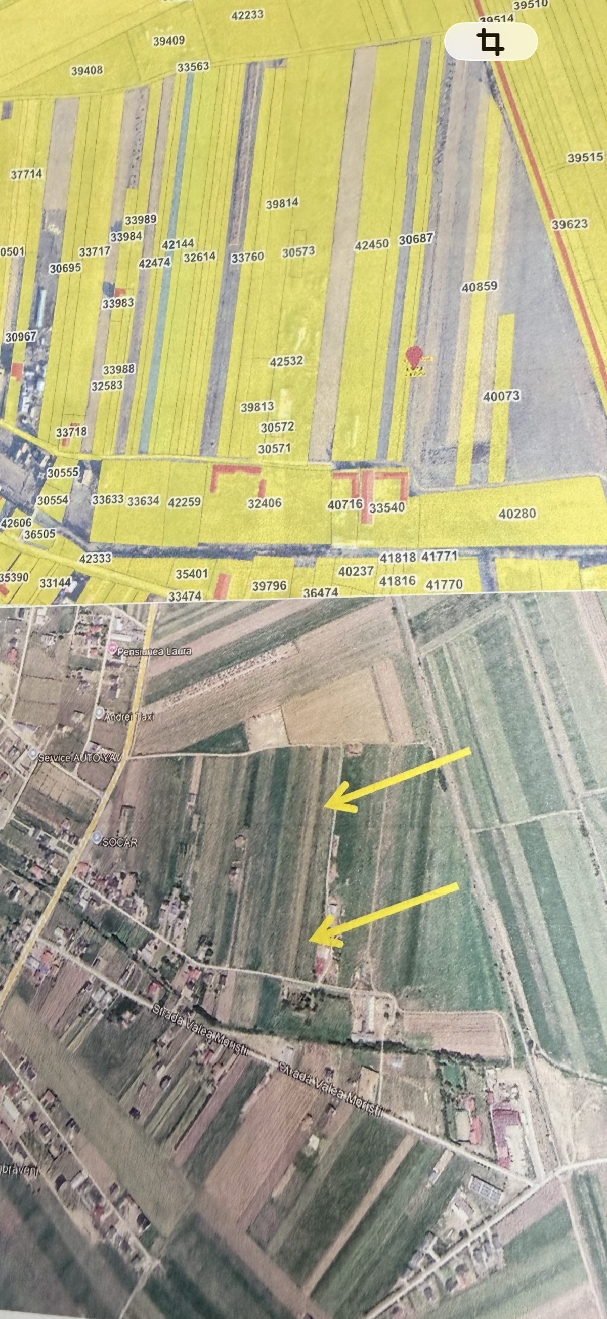 Miniatură 8