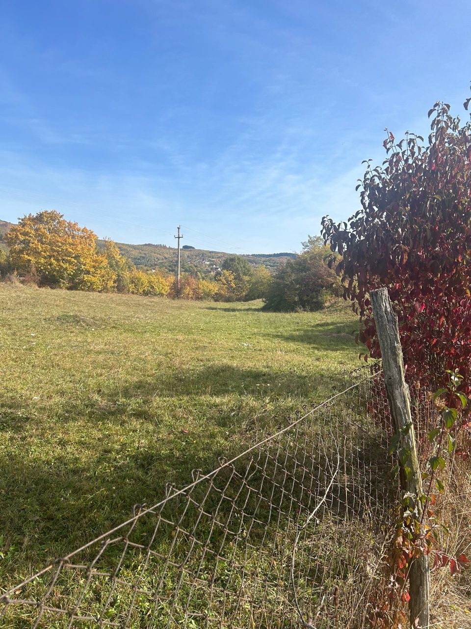 Faneata- in suprafata de 8307 MP 1