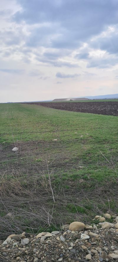 Teren agricol extravilan arabil - in suprafata de 5019 MP