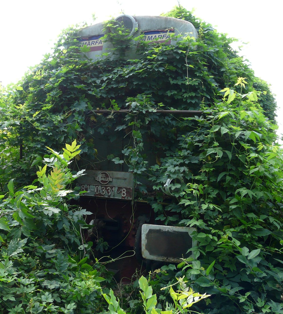 Miniatură 2
