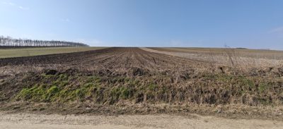 Teren agricol -