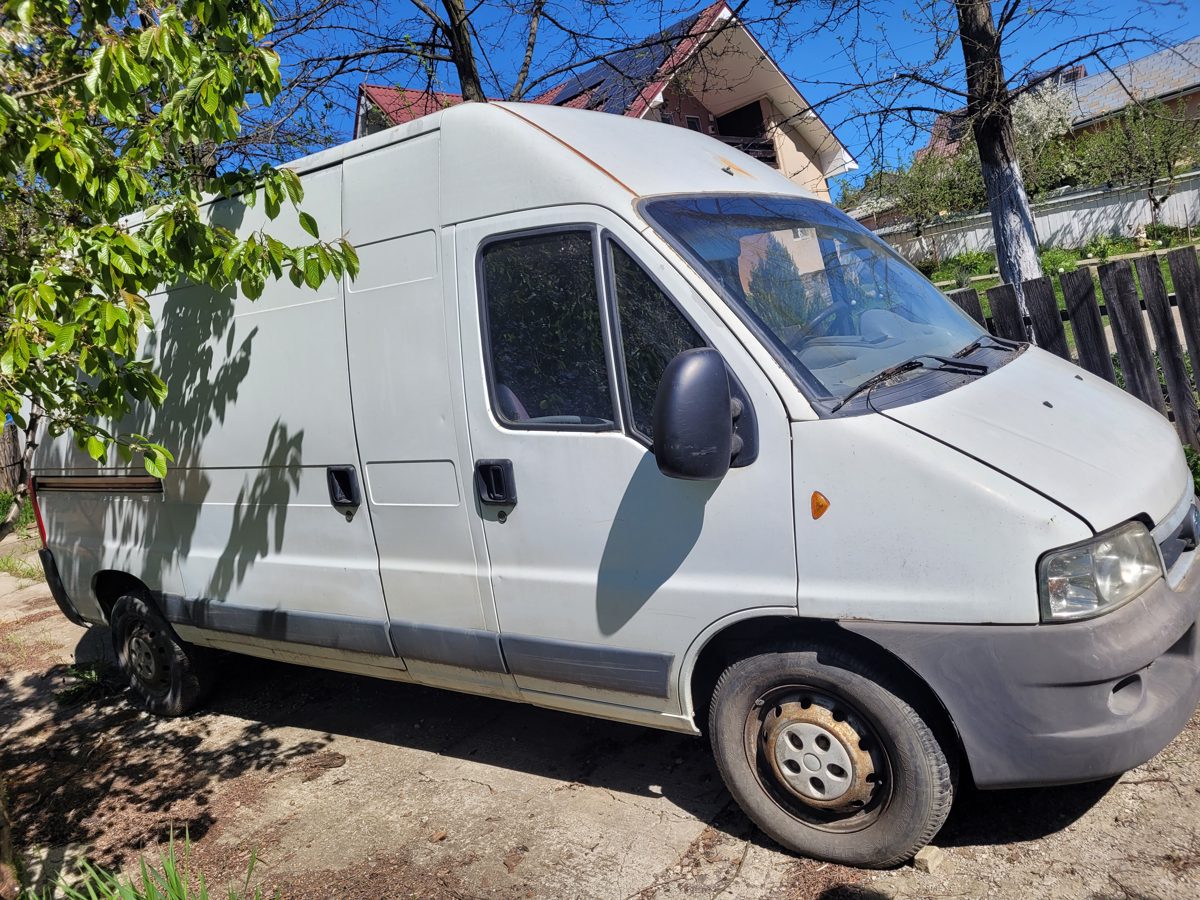 Miniatură 6