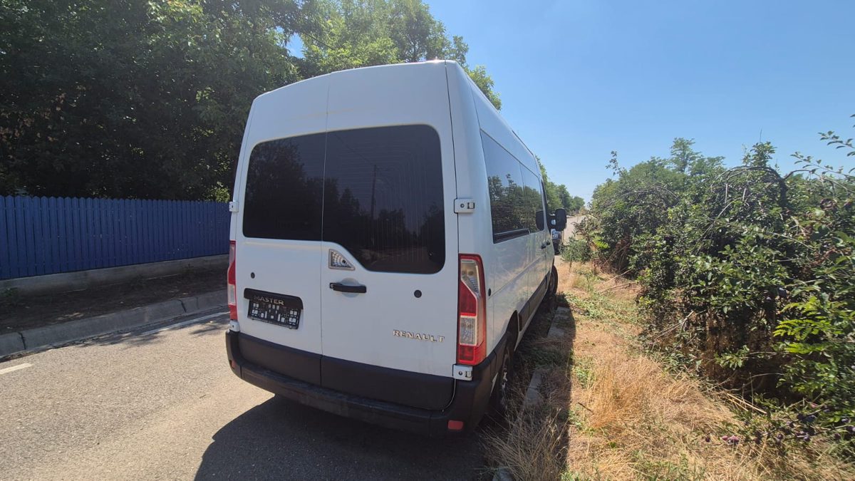 Miniatură 8