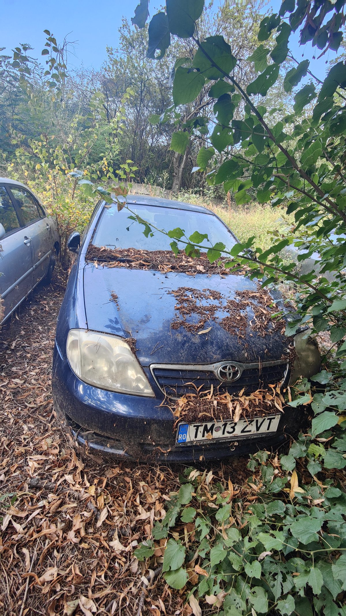Autoturism marca Toyota model Corolla 1