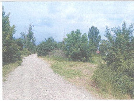 Miniatură 3