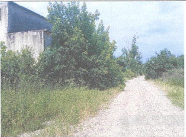 Miniatură 4