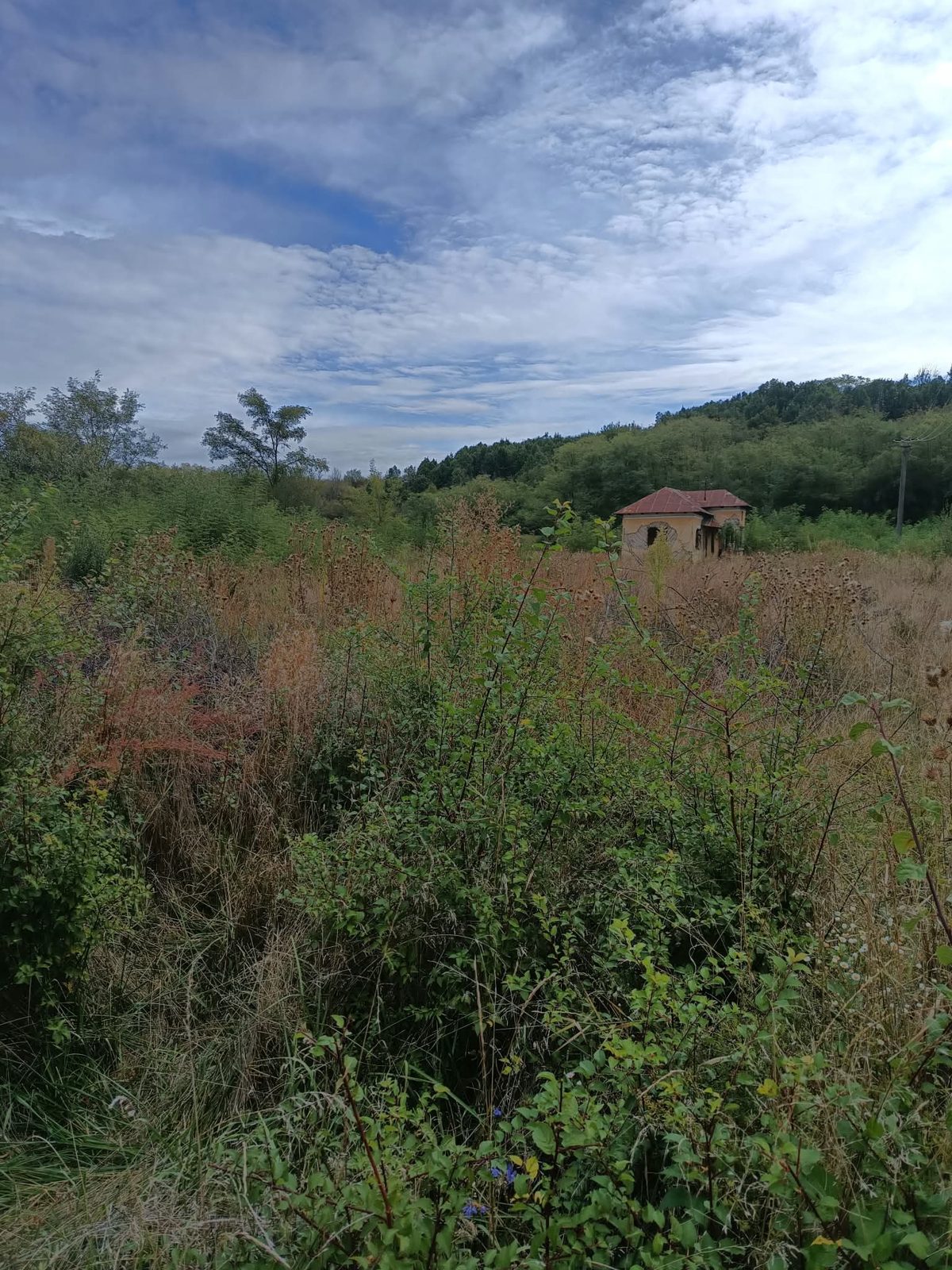 Miniatură 2
