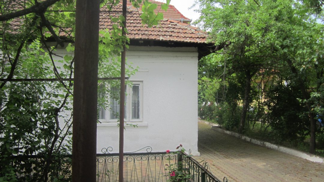 Miniatură 2