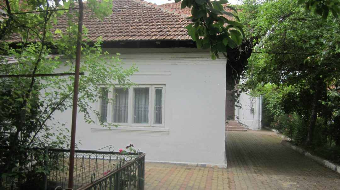 Miniatură 5