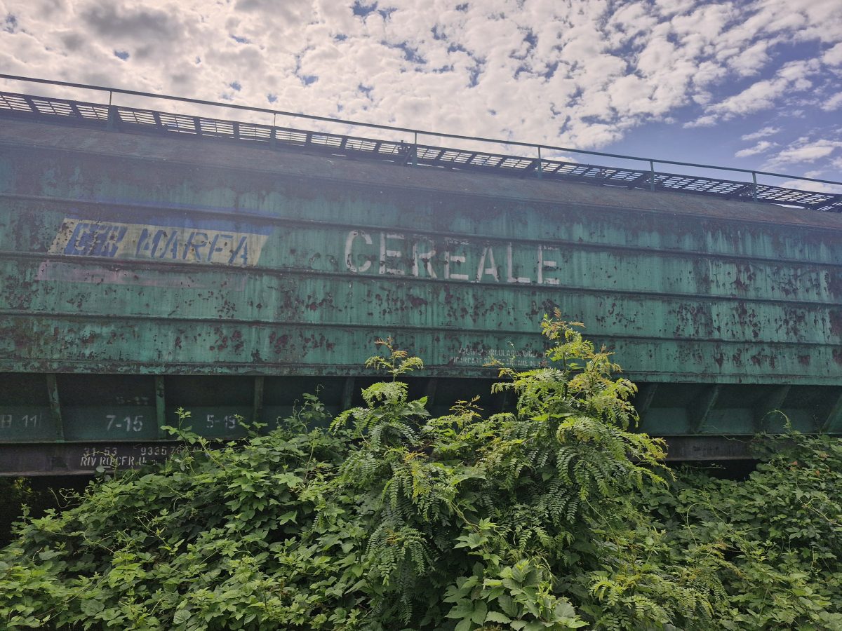Miniatură 3