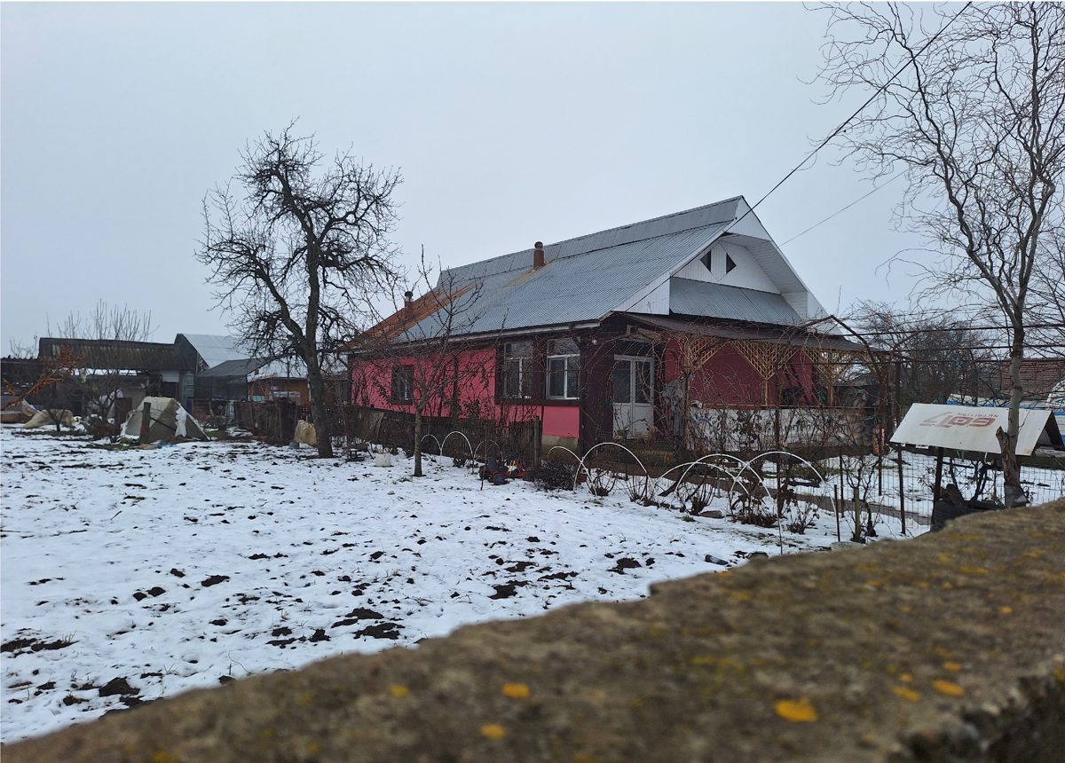 Miniatură 3