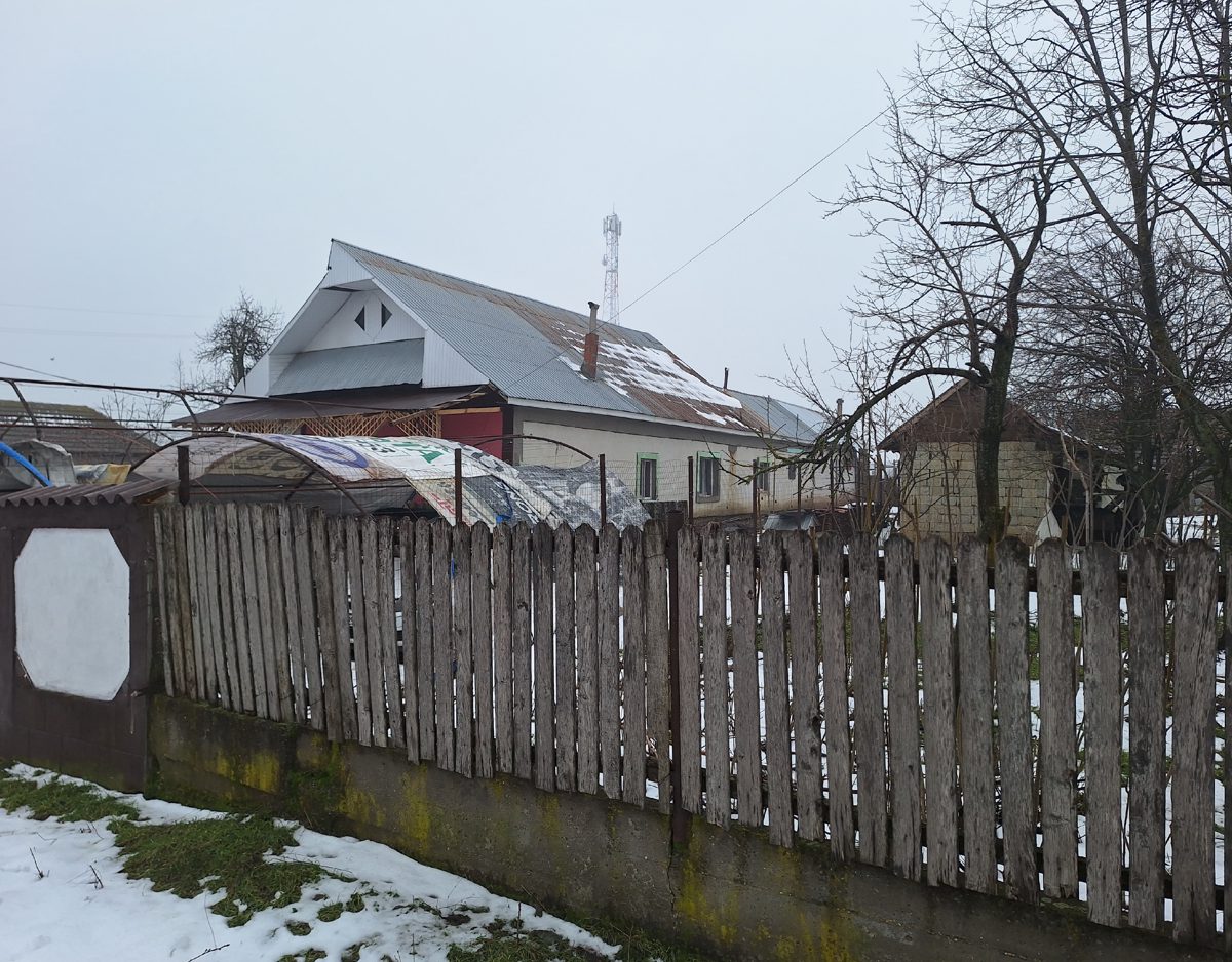 Miniatură 4