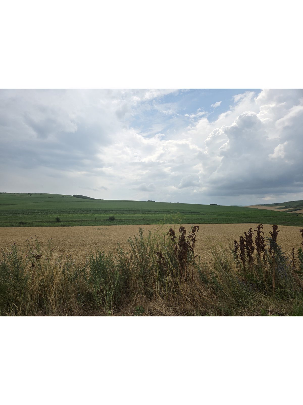 Teren extravilan agricol 1