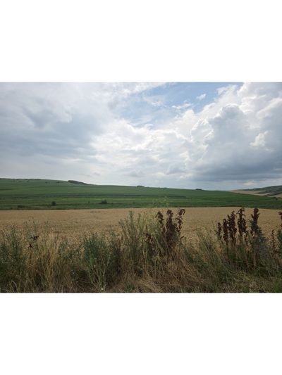 Teren extravilan agricol