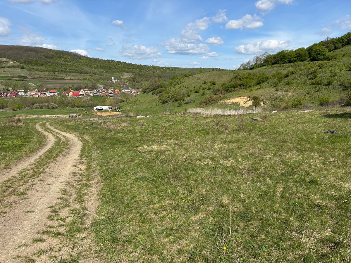 Teren intravilan faneata, cota de ½, in suprafata de 950 mp. situat in loc. Sânmartin, jud. Cluj 1