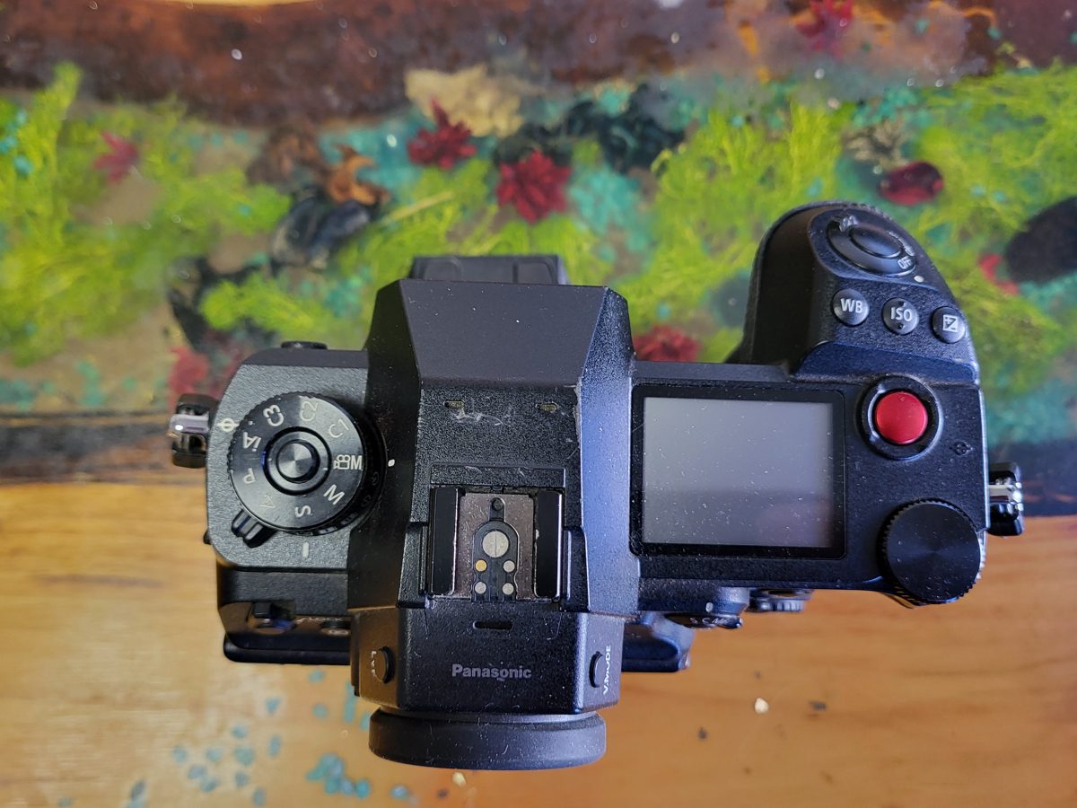 Miniatură 5
