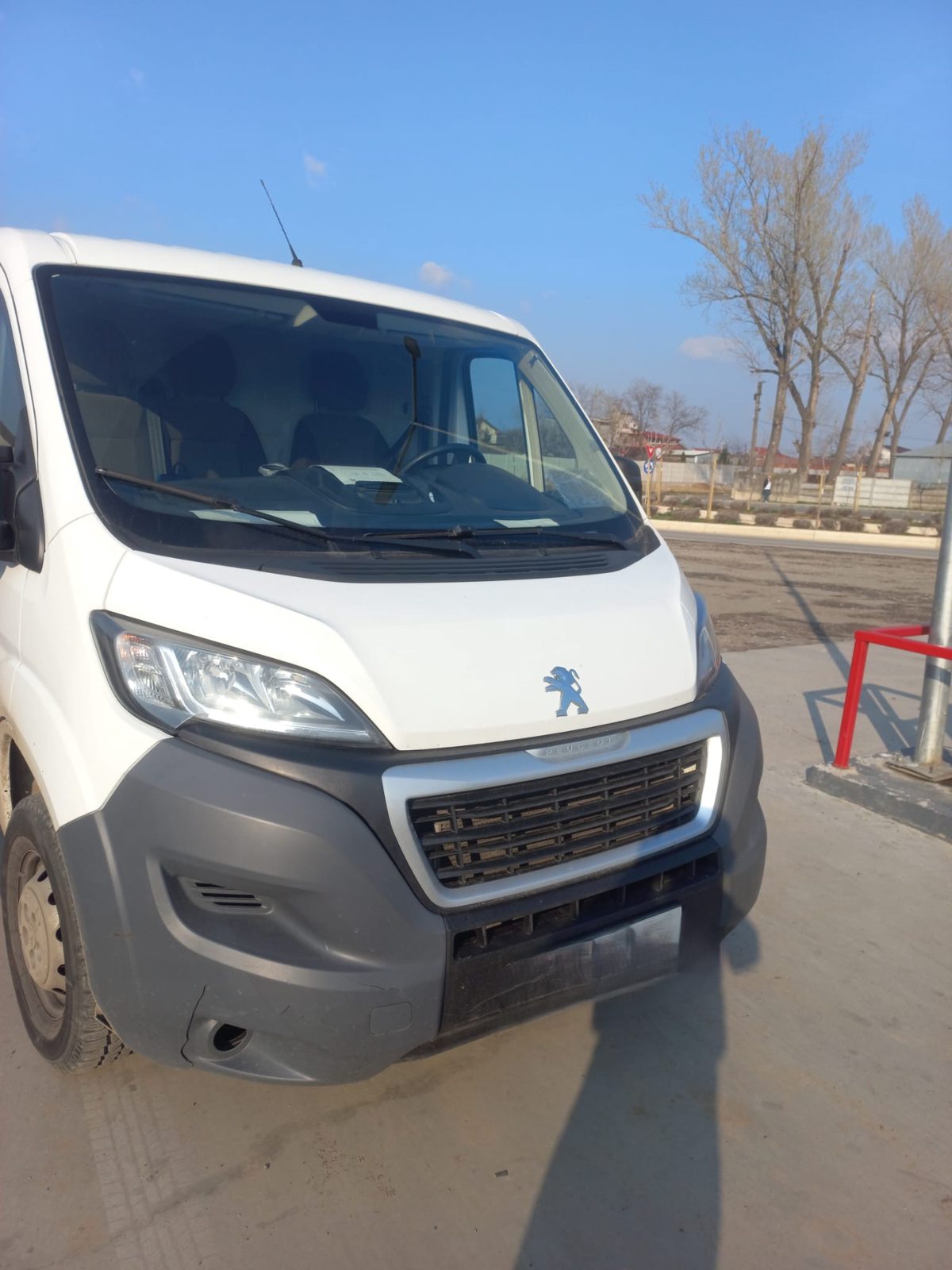 Miniatură 3