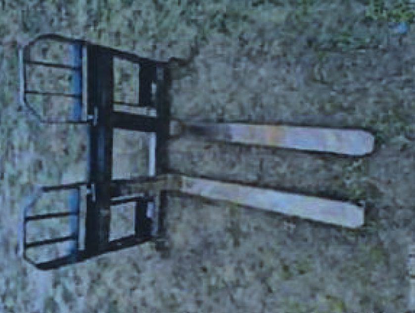 Miniatură 4