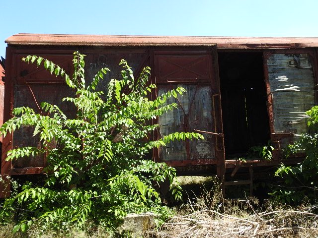Miniatură 2